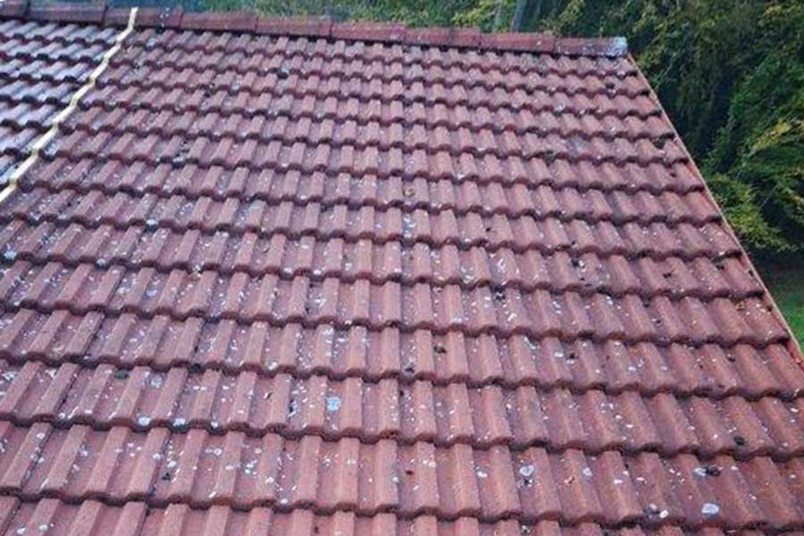 Dachreinigung Köln Bonn vorher