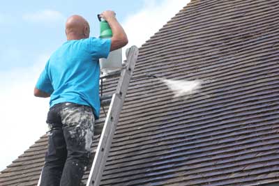 Dachreinigung Köln Bonn - Wirkstoff auftragen