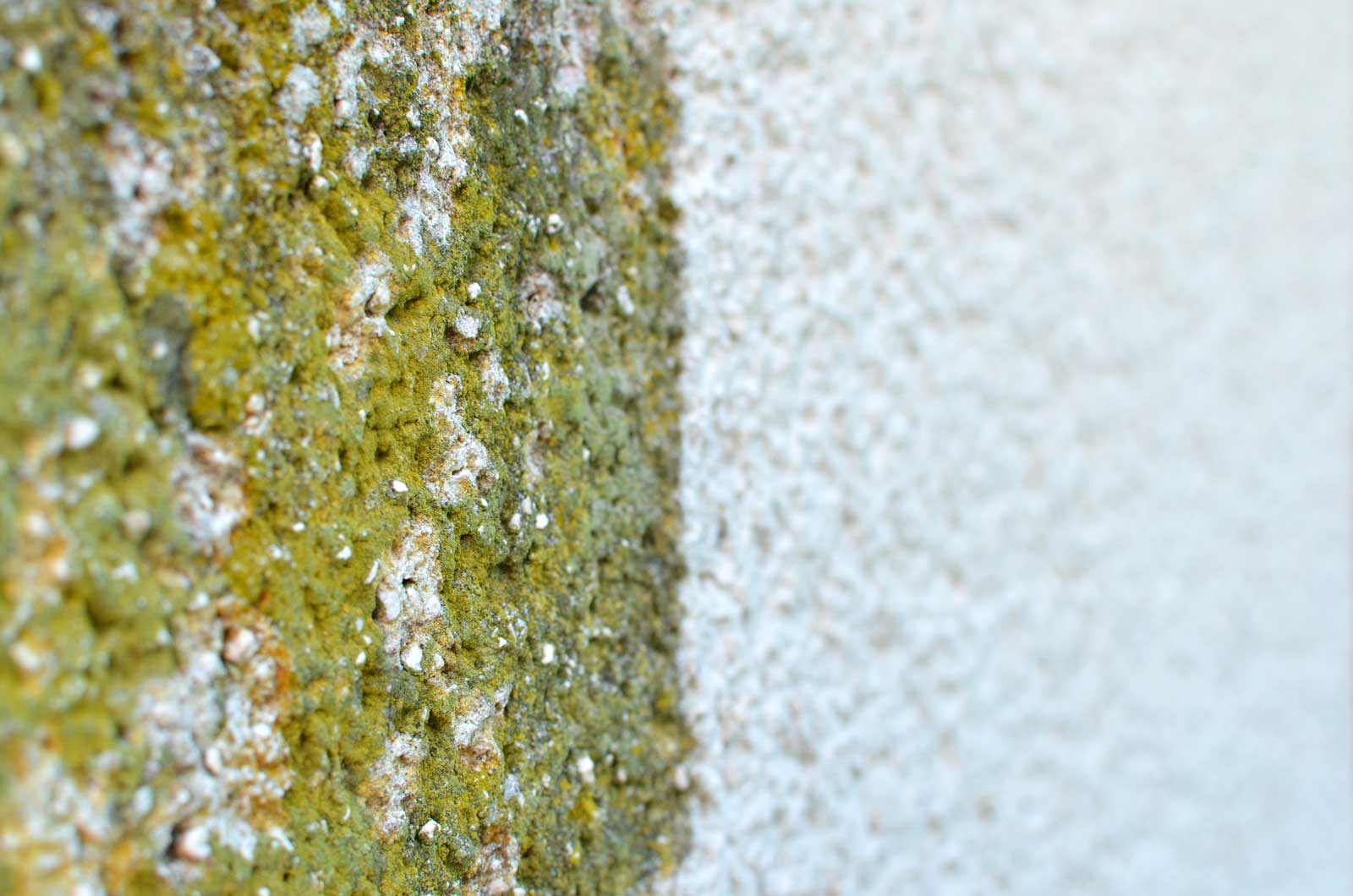 Putzfassaden Reinigung Köln Bonn