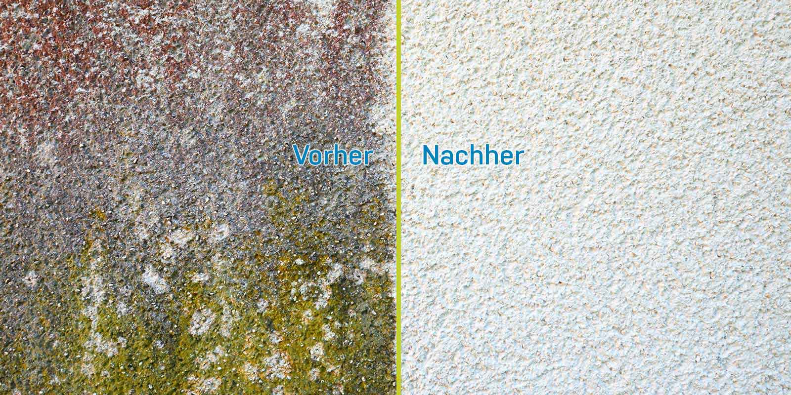 Fassade Reinigung Bonn