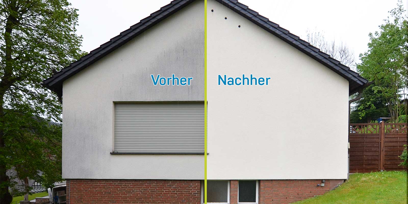 Algen Entfernung Putz Fassade Köln